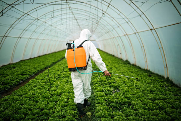 Best Pest Control Near Me in Cleora, OK
