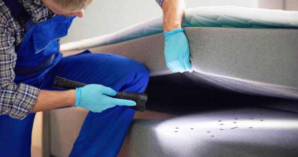 Best Ant Control Services  in Cleora, OK