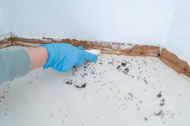 Best Commercial Pest Control Services  in Cleora, OK