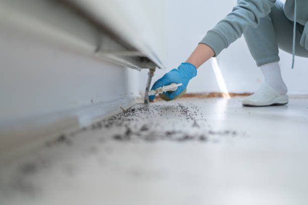 Best Best Pest Control Near Me  in Cleora, OK