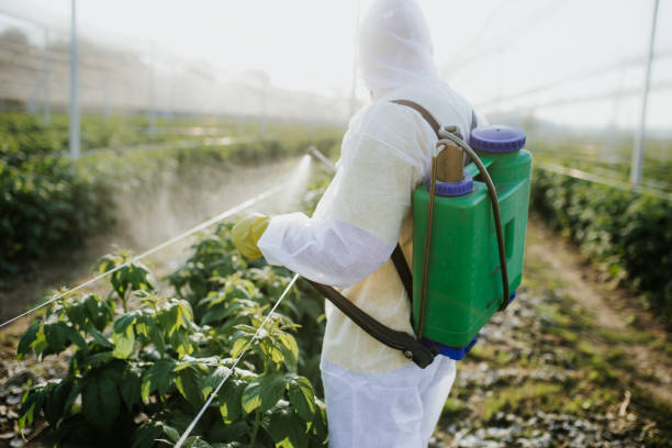Best Pest Control Near Me  in Cleora, OK